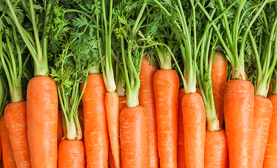 將胡蘿蔔副產物進行二次利用，提升純素食品風味與接受度