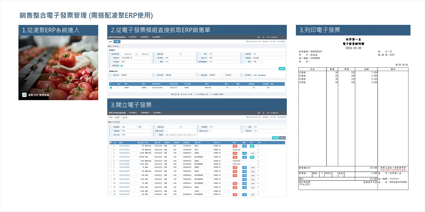 凌聚ERP-銷售整合電子發票管理系統	