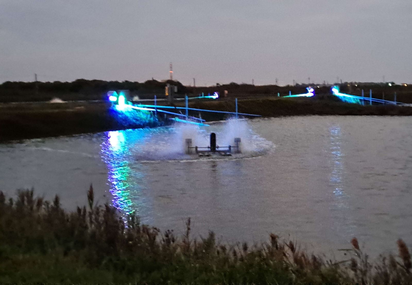 夜間LED光源系統縮短魚群育成時間，增加漁獲產量。